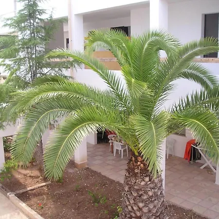 Baia Del Gallo